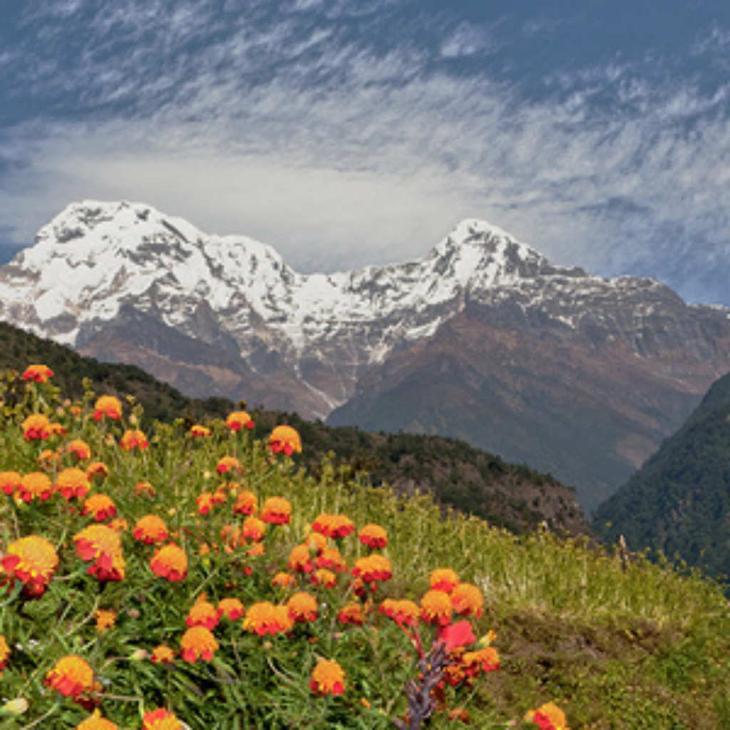 trek-nepal-2026-inspired